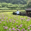 重庆旅游 缩略图 1