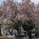 大连旅游 缩略图 6