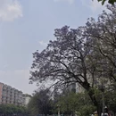 昆明旅游 缩略图 10