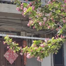 大连旅游 缩略图 8