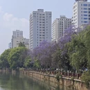 昆明旅游 缩略图 8
