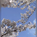 大连旅游 缩略图 4