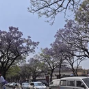昆明旅游 缩略图 5
