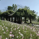 成都旅游 缩略图 7
