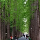 上海旅游 缩略图 8