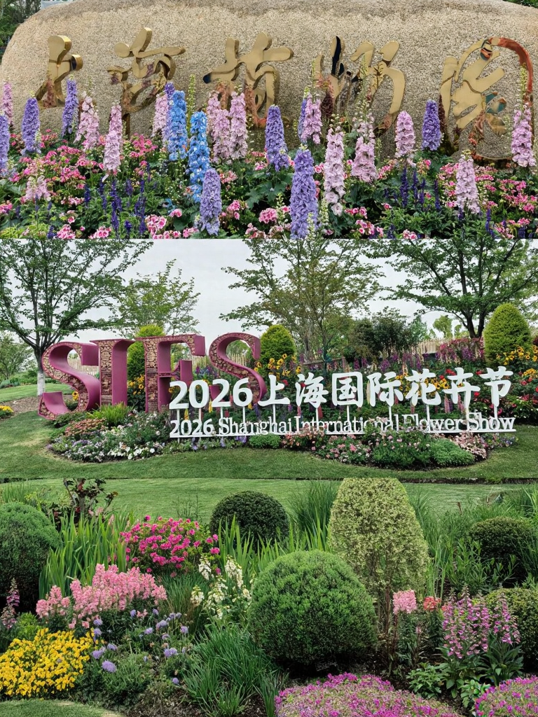上海旅游