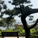 青岛旅游 缩略图 4
