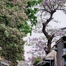 北京旅游 缩略图 1