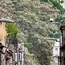 北京旅游 缩略图 7
