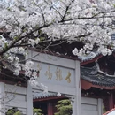 南京旅游 缩略图 1
