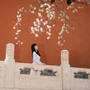 北京旅游 缩略图 5