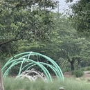 宁波旅游 缩略图 15