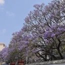 昆明旅游 缩略图 2