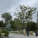 宁波旅游 缩略图 16