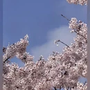 大连旅游 缩略图 11