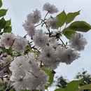 宁波旅游 缩略图 8
