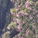 大连旅游 缩略图 9