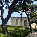 青岛旅游 缩略图 1