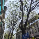 昆明旅游 缩略图 11