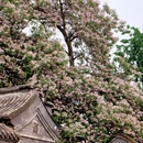 北京旅游 缩略图 8