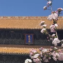 北京旅游 缩略图 7