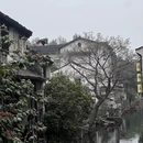 绍兴旅游 缩略图 1
