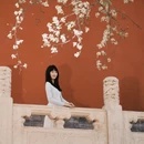 北京旅游 缩略图 13
