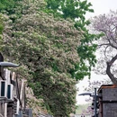 北京旅游 缩略图 6