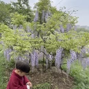 宁波旅游 缩略图 10