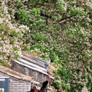 北京旅游 缩略图 4