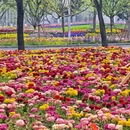 北京旅游 缩略图 18