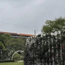 宁波旅游 缩略图 13