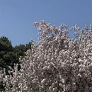 北京旅游 缩略图 14