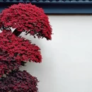 上海旅游 缩略图 13