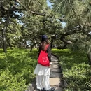 青岛旅游 缩略图 3