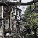 绍兴旅游 缩略图 6