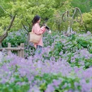 上海旅游 缩略图 18