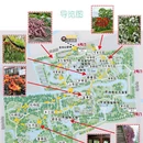 上海旅游 缩略图 2