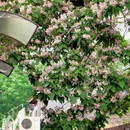 北京旅游 缩略图 5