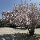 北京旅游 缩略图 9
