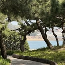 青岛旅游 缩略图 5
