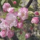 大连旅游 缩略图 13