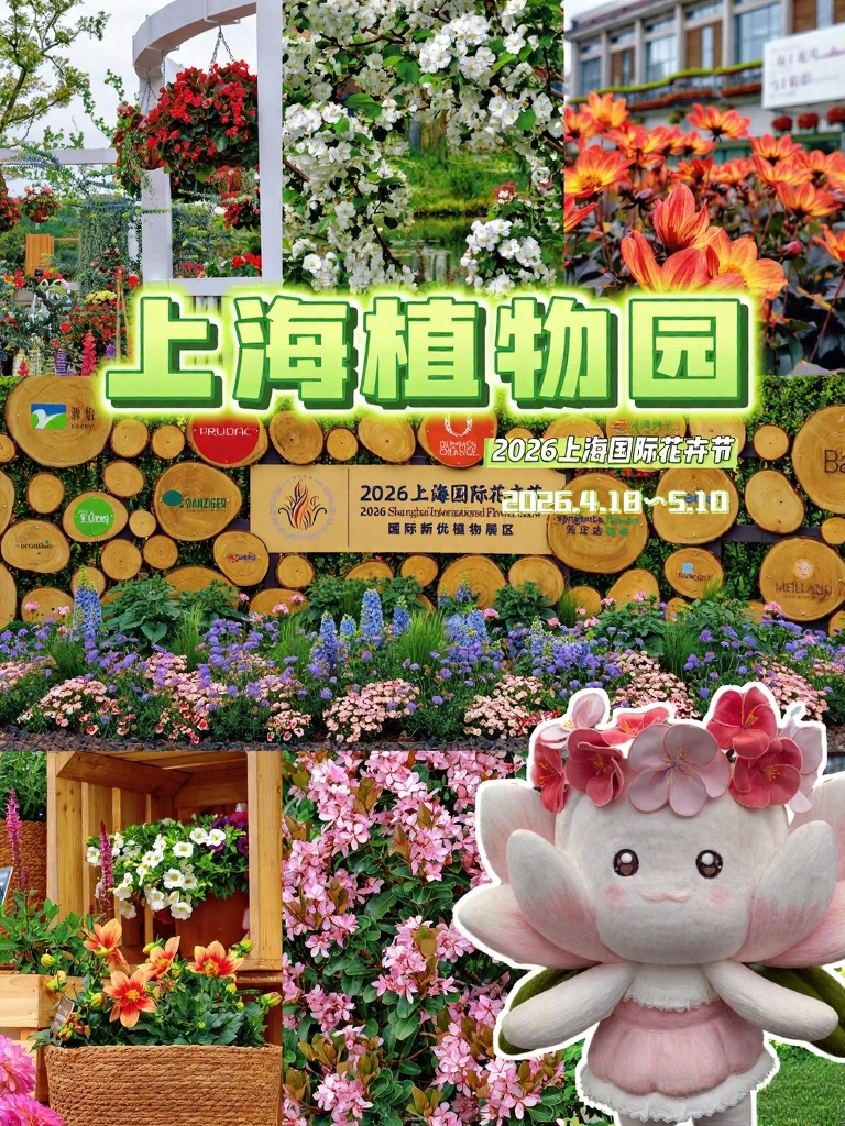 上海旅游