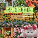 上海旅游 缩略图 1