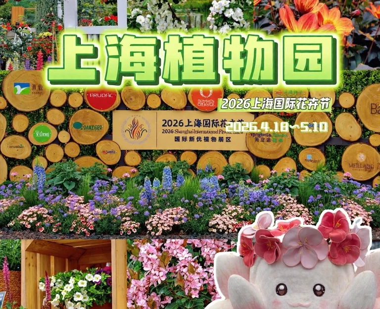 上海旅游 1