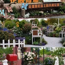 上海旅游 缩略图 3