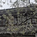 绍兴旅游 缩略图 5