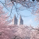 北京旅游 缩略图 1
