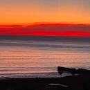 三亚旅游 缩略图 2