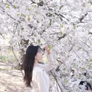 北京旅游 缩略图 3